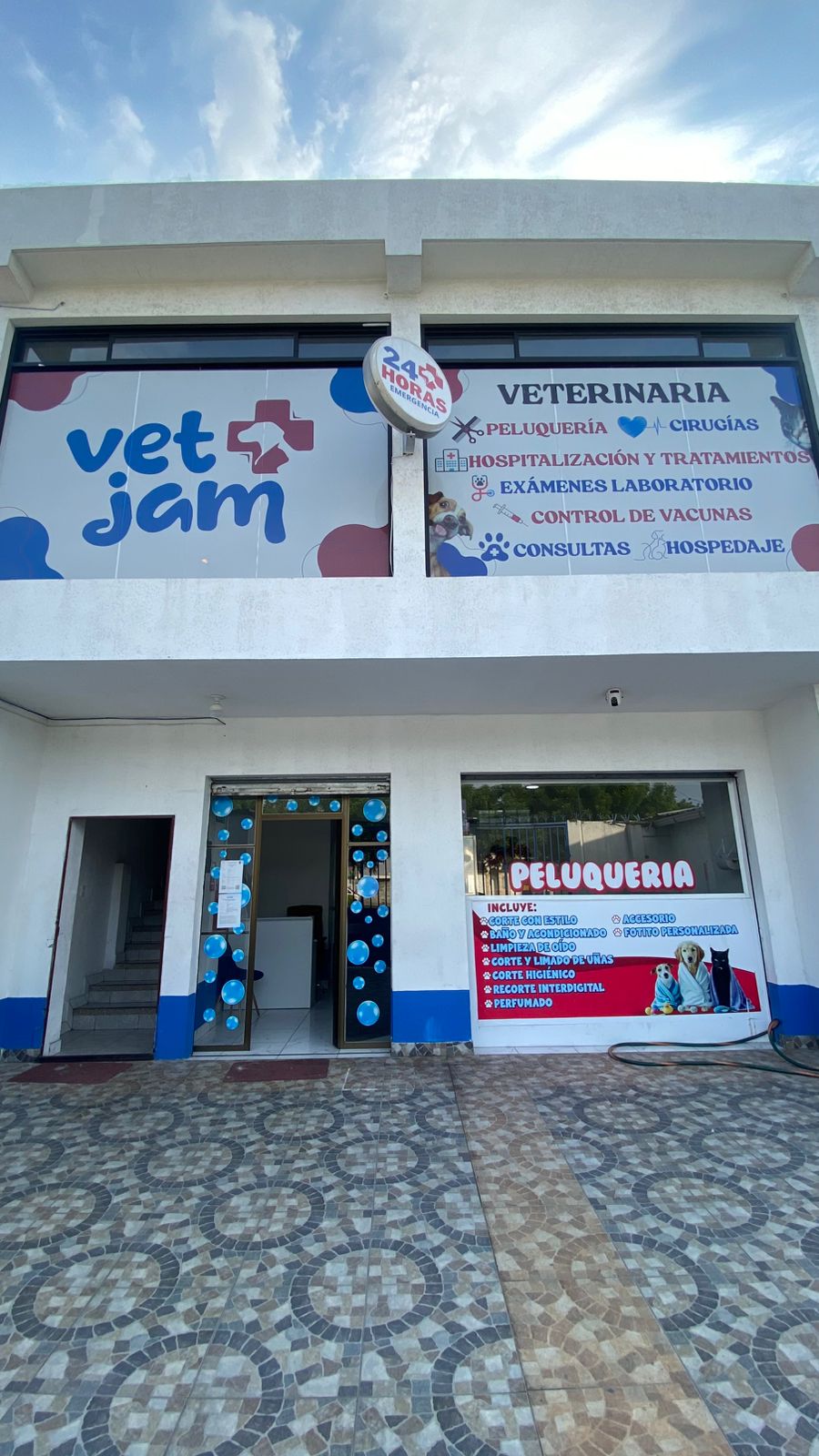 Mascota en clínica